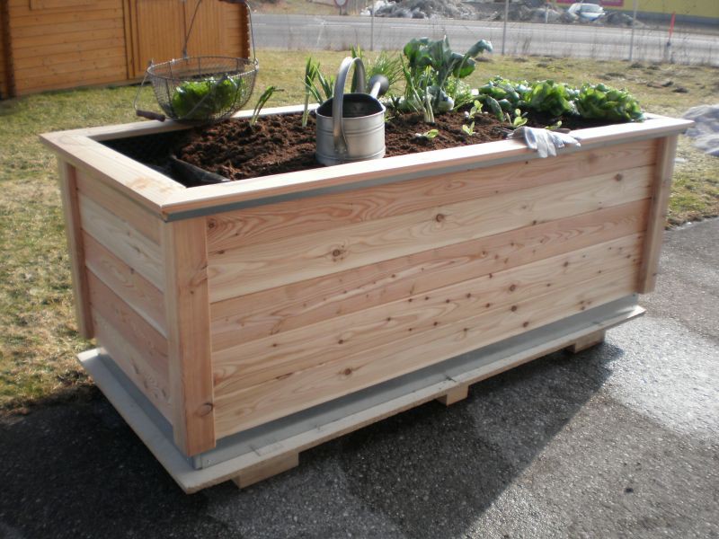 KGT Frühbeet - Aufsatz blank für Hochbeet WOODY Small