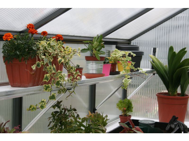 KGT Hängebord für Gewächshaus CALLAS III